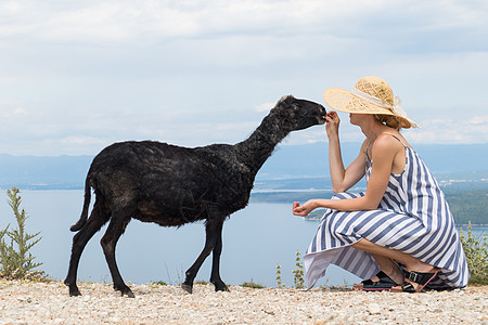 在克罗地亚亚得里亚海沿岸旅行时 穿着条纹夏装和草帽的年轻迷人女游客蹲着 喂养和抚摸黑羊女士女孩假期宠物旅游农村泥路风景女性裙子图片