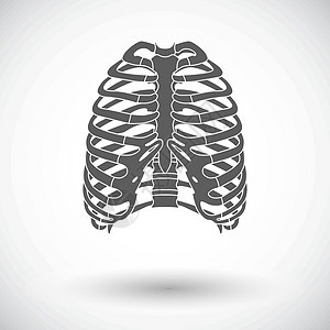 人类胸腔的图标医疗生物学胸骨解剖学胸部生活卫生科学保健骨骼图片