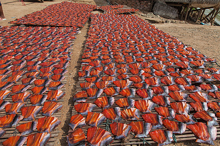 在柬埔寨鱼粉市场干燥的鱼 在那里做鱼肉红色烘干调味品图片