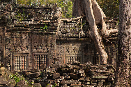 Ta Prohm 吴哥窟 柬埔寨 树根吞没了寺庙结构丛林树木高棉语雕像考古学文化建筑佛教徒遗产雕刻品图片