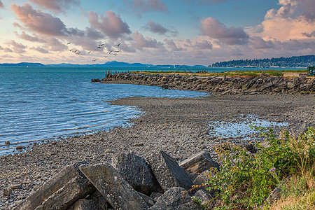 黄昏Bellingham湾的洛奇海岸图片
