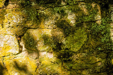 旧的中世纪修道院墙石头历史性教会正方形植物城墙阴影城堡砂岩绿色图片