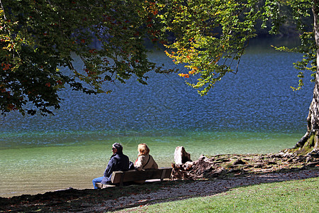 年老夫妇在公园湖边的长凳上享受春天的清晨快乐高清图片