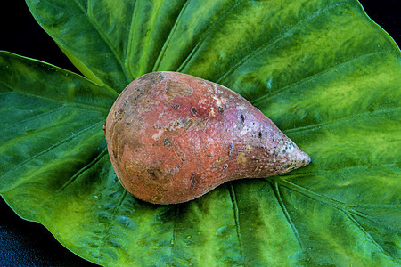 山药及其叶子工作室杂货店块茎营养食物饮食橙子土豆生产皮肤图片