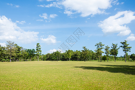 绿草林公园阳光公园场地草地运动天空高尔夫球城市太阳晴天图片