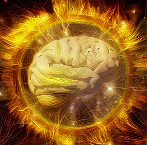 心灵力量神经元解剖学插图情感智力火焰想像力知识思维小脑图片