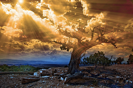 太阳光流进入岩石般的沙漠景象图片