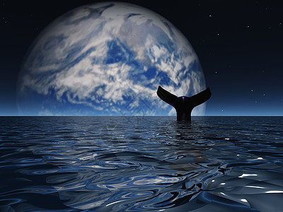 Exopplanet 鲸涟漪蓝色哺乳动物生物潜水海景星星环境游泳美人鱼图片