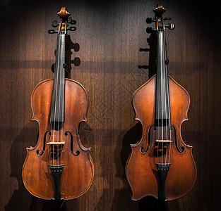 古老乐器音乐艺术手指音乐家小提琴细绳生活声学娱乐棕色图片