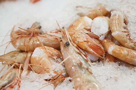 冰中虾类的封闭甲壳市场店铺渔业动物工业食物批发市场保鲜食品图片