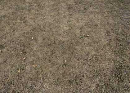 干草干燥 夏季气候变化无雨 背景和背景图片