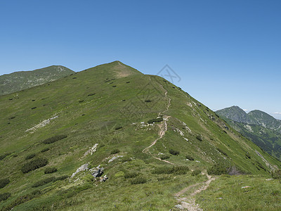 西塔特拉山脉或罗哈斯的美丽山地景观 在山脊上有徒步足迹 绿色青草状岩质山峰用洗涤松树和高山花草原来擦刷 夏蓝天空背景远足男人旅行图片