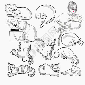 不同诗歌和字符设计中的一套猫图集插图图片
