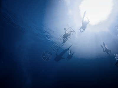 海洋中有许多潜水者图片