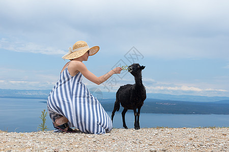 在克罗地亚亚得里亚海沿岸旅行时 穿着条纹夏装和草帽的年轻迷人女游客蹲着 喂养和抚摸黑羊泥路帽子农村女士假期冒险场景吸引力国家风景图片