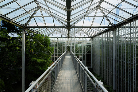 以钢桥角度拍摄的壁炉玻璃植物农业房子生长盆栽温室绿色走廊工业图片
