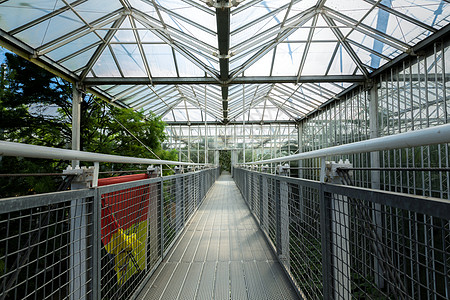 以钢桥角度拍摄的壁炉玻璃工业生态房子植物生长盆栽走廊栽培培育图片