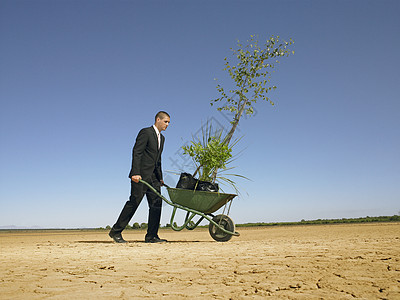 商务人士在荒漠中种植树 全年种树生长人士天空成人男人一人年轻人沙漠商业成年图片