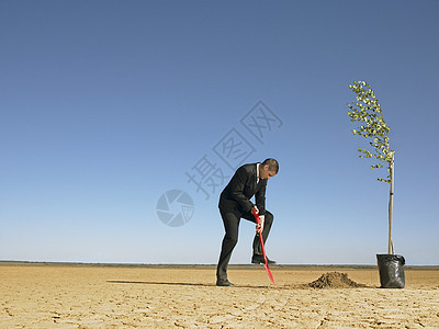 商务人士在荒漠中种植树 全年种树关爱蓝天园艺逆势生长男人人士一人年轻人成人图片