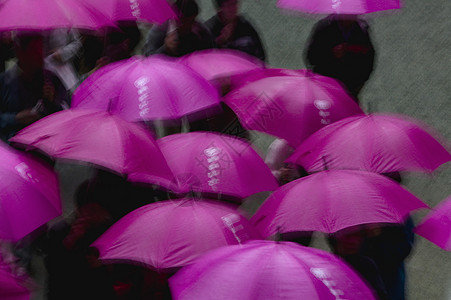 紫色雨伞下的人们高瞻远瞩的风景 在光天化日之下粉色日光天气色彩小群人团结旅游城市图片