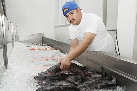 在鱼市的冰上混合鱼中 年轻的鱼贩举着鲭鱼食品保鲜工业渔业批发市场展示海鲜商业安排男性图片