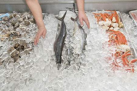 市场冰中混合鱼类的封闭批发市场食品加工工业螃蟹展示鲭鱼渔业食品人类店铺图片