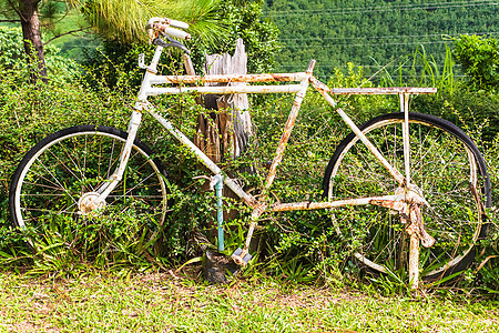花园里生锈的旧白色自行车黑色运输古董公园乡村车轮街道旅行图片