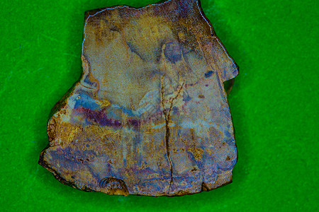 石化木的交叉口图片