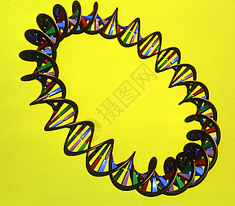 具有螺旋线和底对的遗传物质DNA质粒遗产科学域名螺旋系统黄色图片