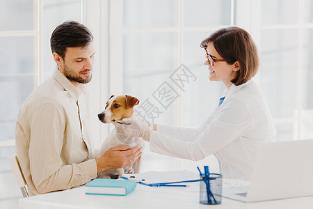 女兽医的镜头在诊所照顾美丽的纯种狗 给予良好的治疗 检查动物 与主人交谈并向主人提供建议 在橱柜的桌面上摆姿势 医学和动物概念图片