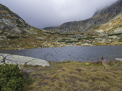 美丽的高山湖泊 在斯洛伐克的山的人行道上徒步旅行松树荒野岩石自然石头山脉风景森林旅游蓝色图片