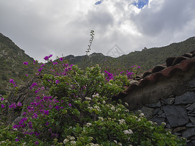 带有旧石屋和绿山的紫色热带花朵 白云天空背景图片