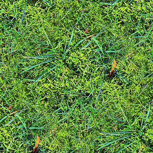 6个以上雇工的光照现实 无缝草质高分辨率材料草地花园场地叶子草皮地面照片地毯图片