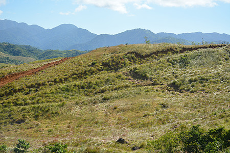 日间山地和树木风景优美场景绿色旅行天空极光岩石海滩树叶丘陵旅游图片