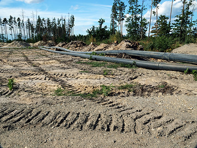 森林砍伐 环境破坏概念 工业对环境的影响 管道铺设在森林里图片