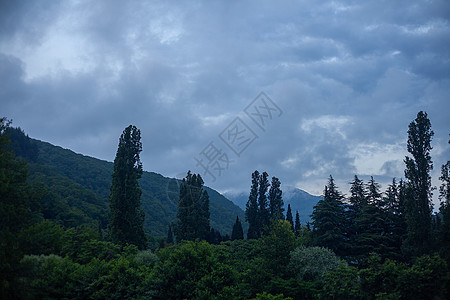 山中阴云的夜晚山脉绿色天空树木森林图片
