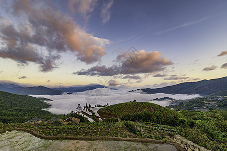 越南西北部老蔡省萨帕山Sapa 水田田梯田旅行土壤水牛浇水旅游种植灌水少数民族季节阳台图片