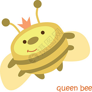 动物组装  蜜蜂翅膀花粉昆虫插图孩子蜂蜜绘画图片