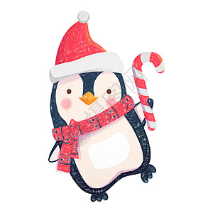 有圣诞糖果的企鹅动物甘蔗白色季节糖果传统荒野插图卡通片野生动物图片