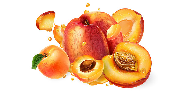 切开的桃子新鲜桃子 杏仁和果汁菜单液体厨房水果插图咖啡店味道饮料健康营养设计图片