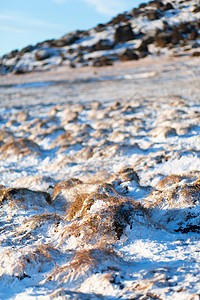 一片冷冻的熔岩田地 土岗脚下满是苔图片