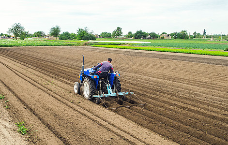一位农民在拖拉机上耕地以进一步播种作物 整地 用犁工作 种植蔬菜食用植物 农业综合企业 农业产业图片