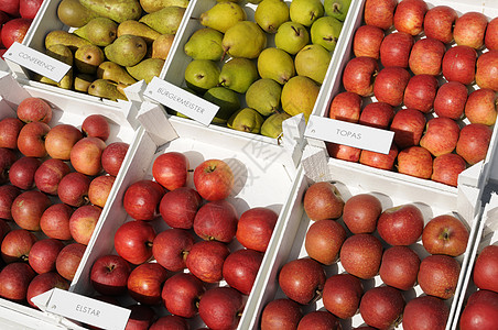 果果架时间水果摊商品会议食物收获海棠盒子木头范围图片