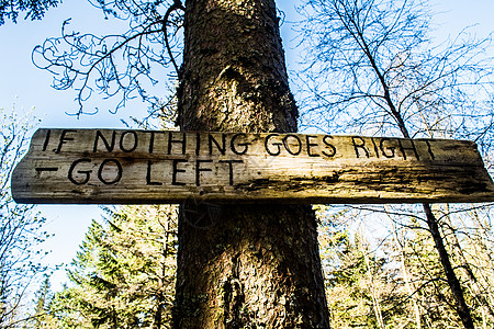 如果没有向右走 那就去树上森林的左边木头标志背景图片