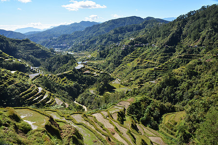 山区谷地和大米田地在露台 灌溉菲图加 巴努埃 菲律宾梯田爬坡农民旅游农业食物旅行稻田反射天空图片