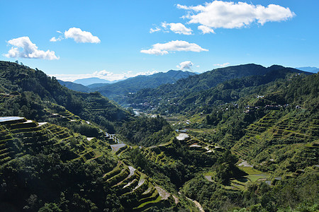 山区谷地和大米田地在露台 灌溉菲图加 巴努埃 菲律宾稻田游客场地旅游反射叶子天空农场植物农业图片