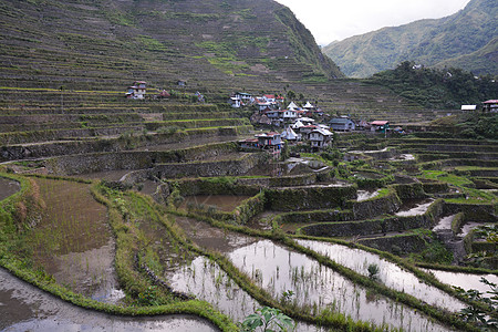 山区谷地和大米田地在露台 灌溉菲图加 巴努埃 菲律宾热带爬坡食物稻田太阳农场场地梯田旅行森林图片