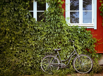 具有绿色和家居背景的自行车背景