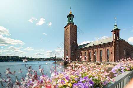 瑞典斯德哥尔摩市市政厅窗户城堡地标城市蓝色历史天空叶子遗产太阳图片