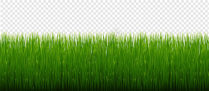 绿草边框和透明背景水平框架草原绿色臭氧生长健康环境农场边界图片